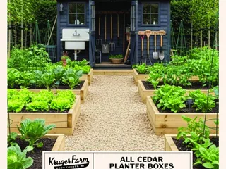 Modern Cedar Planter Boxes plan cover