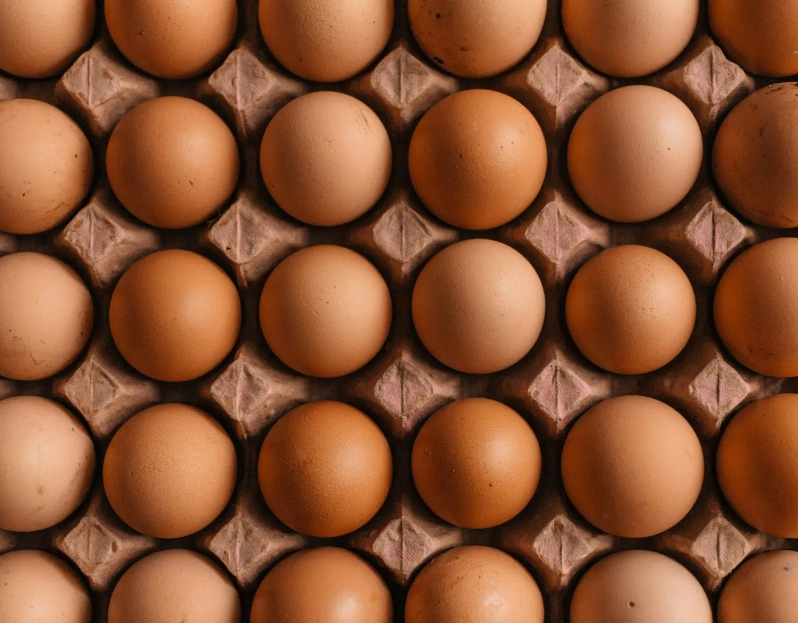 Eggs from the coop