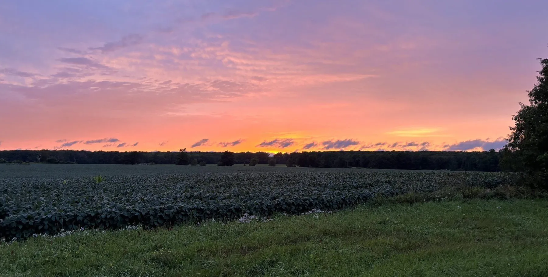 Sunset over the farm