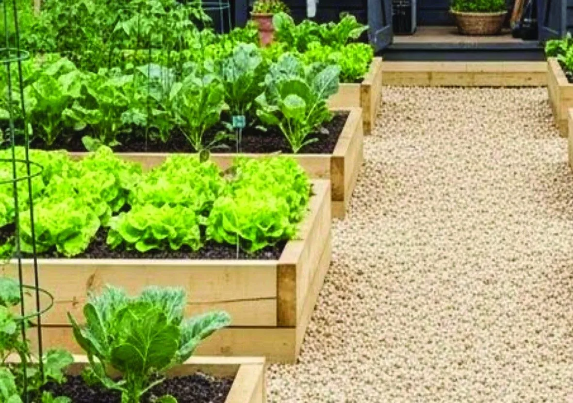 Raised Garden Bed Set